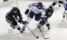 九游体育APP下载-北境铁蹄踏南疆，公牛铁血冲垮华南虎防线